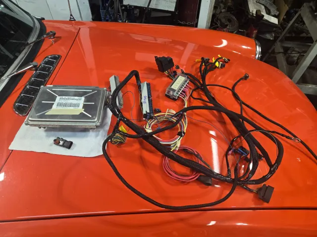 ECU and engine wiring harness laid out on bonnet