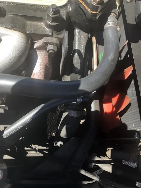 Radiator hoses and cooling fan in engine bay