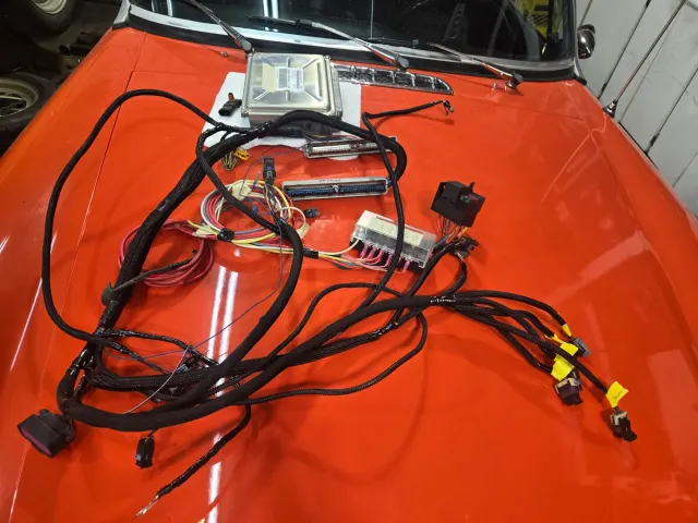 Standalone EFI wiring harness and ECU laid out on bonnet